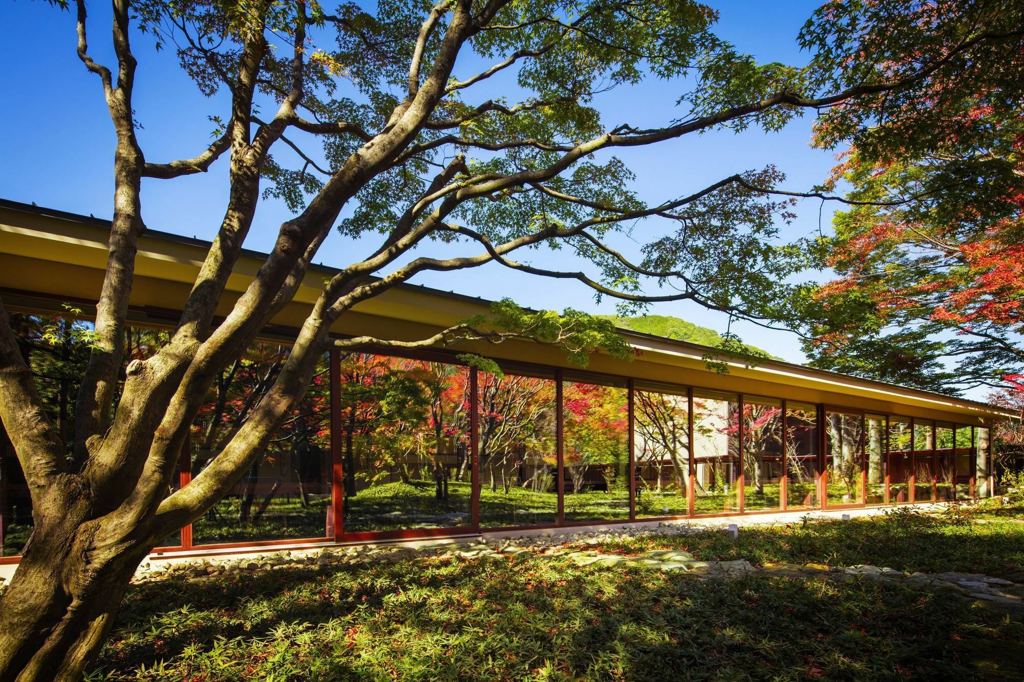 Hoshino Resorts Kai Kinugawa Нікко Екстер'єр фото
